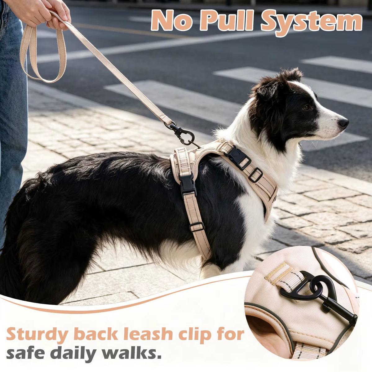 Factory Custom QQPETS Oxford Neoprene Soft Padded Pet Harness Customizable Rubber Logo Webbing Adjustable Dog Chest Fashion